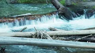 Module 4 IDAH2O Stream Habitat Assessment