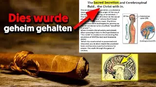 Die geheimen Lehren Jesu zur Aktivierung der Zirbeldr&uuml;se (Christusbewusstsein)