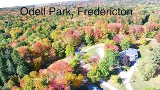 ODELL PARK 2