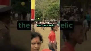 Sri Lanka Kandy | The Heart of Sri Lanka's Cultural Tapestry