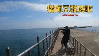 ｜尋找南提大物的蹤跡｜看你被欺負才好看啦｜一早就讓人家這麼開心 真好｜#魂手作浮標工坊 #安平 #保七南提 #fishing #推薦 #automobile