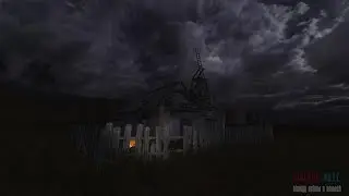 S.T.A.L.K.E.R Между Небом и Землей №1. Икона и Кордон
