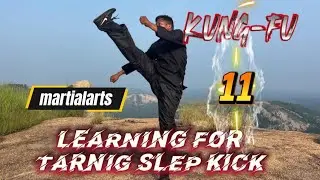 Kung-fu martialarts lanrnig for tarnig slep kick chapter 11