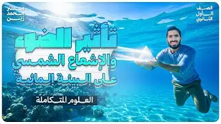 تأثير الضوء والإشعاع الشمسي على البيئة المائية | علوم متكاملة 2026 | مع أ. محمد زين