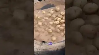 Is it okay to eat things roasted in sand #viral #shorts