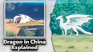 White Dragon in China. Why Do People Believe This?