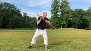 6 jo kata in slow motion, 3 levels. Arjan de Haan. godan