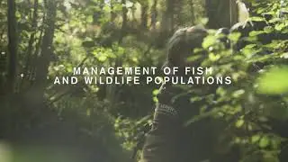 Management of Fish and Wildlife Populations