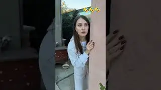mau ketawa takut dosa video lucu kocak bikin ngakak meme video funny shorts #funny