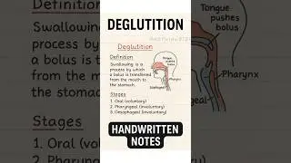 DEGLUTITION MADE EASY #handwrittennotes #medicalshorts