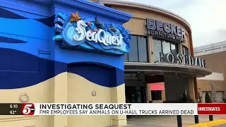 Dead on arrival: Video shows SeaQuest knew risks before shipping animals to Minnesota