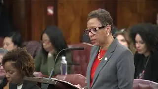 NYC Council overrides Mayor Adams' vote of 'How Many Stops Act'