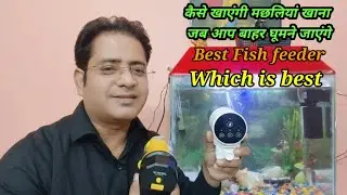 Best fish feeder|auto fish feeder|all problem and solution#fishfeeder#aquarium#music#trendingvideo 