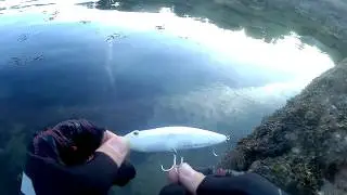 Aliexpress Zenith Z-Claw Sinking: the Kingdom Left Road Sinking [Sea bass killer]