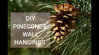 DIY PINE CONE WALL HANGING | HOME DECOR |