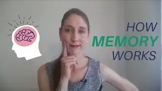 How does memory work? What is memory and where is memory stored in the brain  🖋️👈🤔