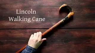 Lincoln Walking Cane, Unique Walking Canes - Handmade | ART WALKING STICKS