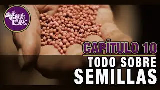 TODO SOBRE SEMILLAS | CAP10 | LA HUERTAMBIO