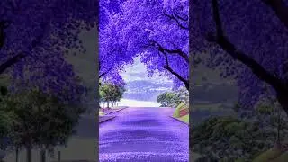 beautiful flowers status 🌸 nutan status // #status #nature #4k #whatapp #whatappstatus #flowers