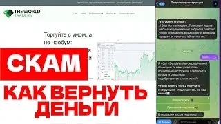 THE WORLD TRADERS (THEWORLDTRADERS.VIP) ОБЗОР И ОТЗЫВЫ 2026. ЭТО РАЗВОД?