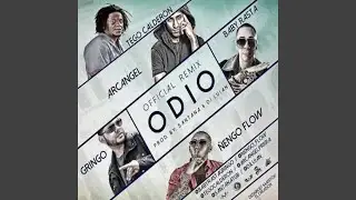 Odio (Remix)