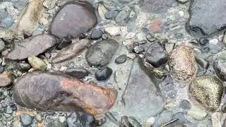 Red rock, red fishing lure things you find on the beach beside the mighty Bella Coola main river 🙌