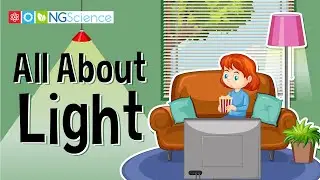 All About Light