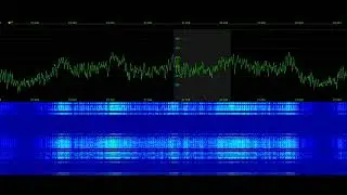 RCRS 27.045 MHz | Signal Phantom