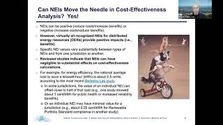 Considering Non-Energy Benefits in PUC Decision Making: What Counts?