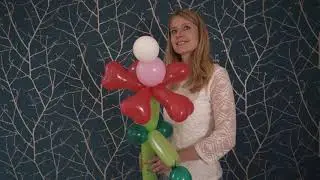 Ballonblume Jette | HAND IM GL&Uuml;CK - DIY BOX - meets BALLONETTI | DIY Anleitung | Balloon Tutorial