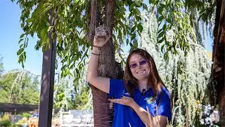 Moana Perfect Start Bird Feeder