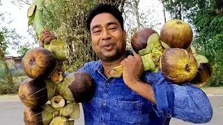 मेरा गांव का बगीचा | चलिये खाते है ताज़े फल आम, जामुन, अमरुद, केला  VLOG @mysmartsupport