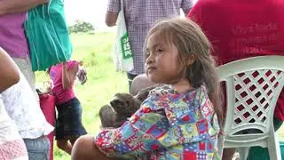 Auf dem Amazonas - MS Albatros 2018 - Boca da Valeria   Brasilien