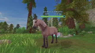 GETTING THE RUNE RUNNER! ~april bunnygate~