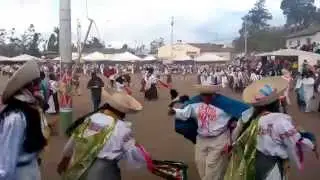 Sanjuanes 2015 Los &Oacute;valos de Natabuela