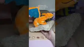 A Sleepy Charizard Plushie That's A DEHUMIDIFER??? #pokemon