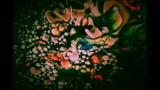 Glimpses The Yardbird&rsquo;s | Music Video