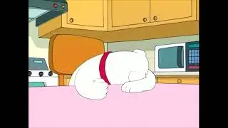 Family Guy: It's Wrong