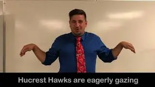 Hucrest Hawks Song WITH LYRICS