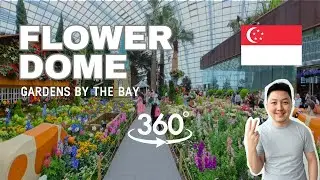 Flower Dome Singapore 360&deg; VR Walk (Silent Tour) | Gardens by the Bay  [VR360]