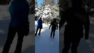 lac des Loups Forest Skate