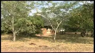 Mopani - South Africa Travel Channel 24