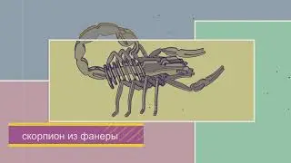 скорпион 3д модель