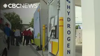 Numerous B.C. hydrogen projects stalled or cancelled, documents reveal