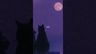 lofi  #lofi #lofibeatstorelax #lofihiphop #lofihiphoprelax #beatstorelax #music #lofibeats