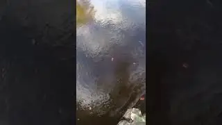 wild camping river crossing secret island