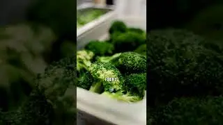 Do You Actually NEED FIBER In Your Diet?