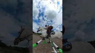 Knock a showjump down with me 🤦🏼&zwj;♀️