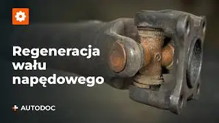Samodzielna regeneracja wału napędowego | Regeneracja układu napędowego – część 1