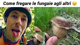 Come scoprire le fungaie di porcini degli altri: le tecniche migliori!